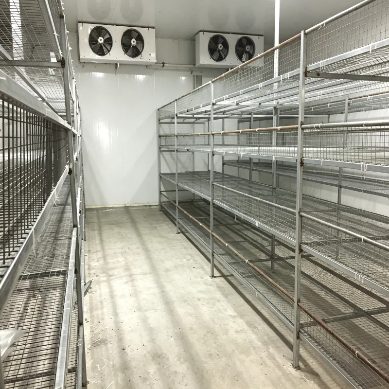 Otomatik Sulama Sistemli Hidro - Urban Farming Projects incelemesi ve fiyatı