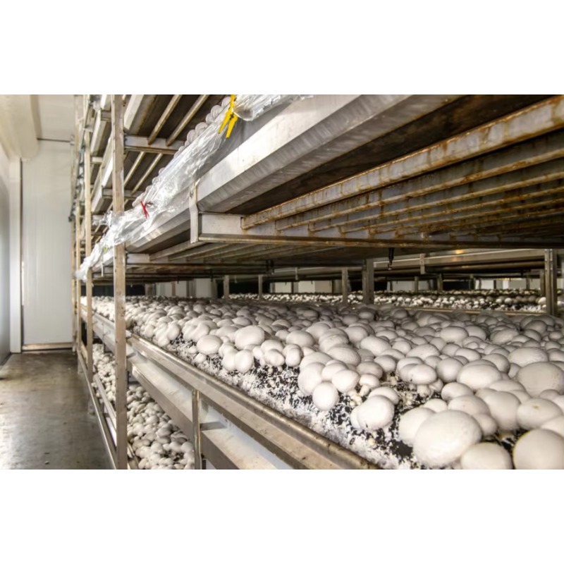 Otomatik Sulama Sistemli Hidro - Urban Farming Projects incelemesi ve fiyatı